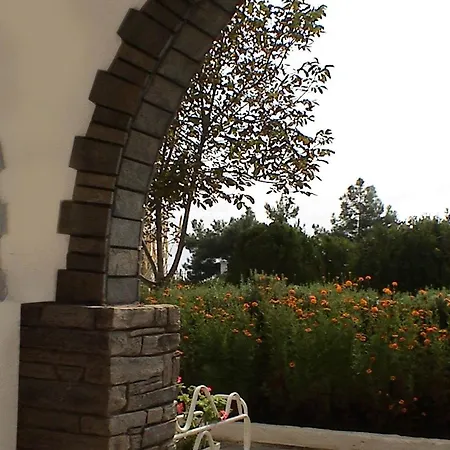 Pantheon & Лименария